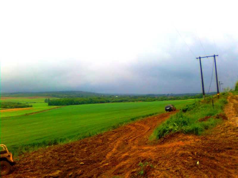 Through fields of gold.